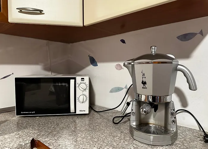 Blumare Forfamily Gallipoli